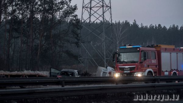 Zwierzę spowodowało wypadek